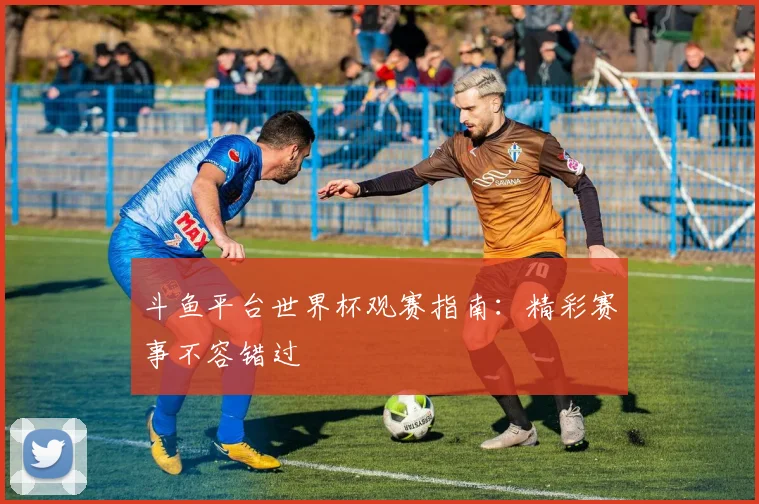 斗鱼平台世界杯观赛指南：精彩赛事不容错过
